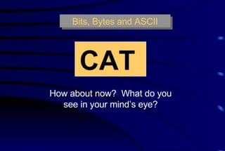 Bits, Bytes and ASCII CAT   How about now?  What do you see in your mind’s eye? 
