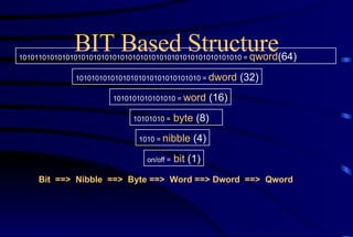 BIT Based Structure on/off =   bit   (1) 1010 =  nibble  (4) 10101010 =   byte  (8) 1010101010101010 =  word   (16) 10101010101010101010101010101010 =  dword  (32) 101011010101010101010101010101010101010101010101010101010 =  qword (64) Bit  ==>  Nibble  ==>  Byte ==>  Word ==> Dword  ==>  Qword 