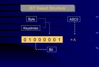 BIT Based Structure 0  1  0  0  0  0  0  1  Byte  Keystroke  Bit  =  A   ASCII  