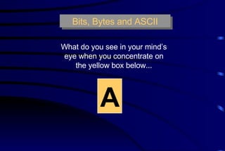 Bits, Bytes and ASCII What do you see in your mind’s eye when you concentrate on the yellow box below... A   