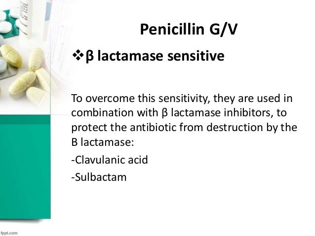 Beta-Lactam Antibiotics Beta-Lactam Antibiotics