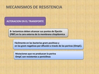 MECANISMOS DE RESISTENCIA
ALTERACION EN EL TRANSPORTE
B- lactamicos deben alcanzar sus puntos de fijación
(PBP) en la cara externa de la membrana citoplásmica
Fácilmente en las bacterias gram positivas y
en las gram negativas por difusión a través de las porinas (OmpC).
Mutaciones que no produzcan la porina
OmpC son resistentes a penicilinas
 