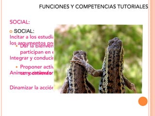    SOCIAL:

    




    
 