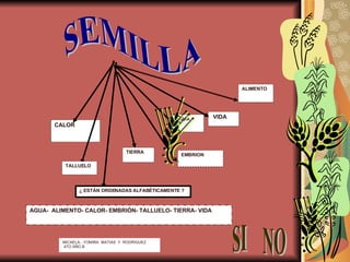 CALOR ALIMENTO VIDA MICAELA - YOMIRA  MATIAS  Y  RODRIGUEZ 4TO AÑO B  SEMILLA TIERRA AGUA TALLUELO AGUA-  ALIMENTO- CALOR- EMBRIÓN- TALLUELO- TIERRA- VIDA ¿ ESTÁN ORDENADAS ALFABÉTICAMENTE ? EMBRION SI  NO 