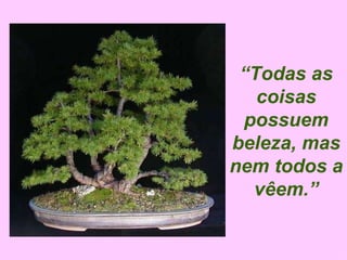 “ Todas as coisas possuem beleza, mas nem todos a vêem.” 