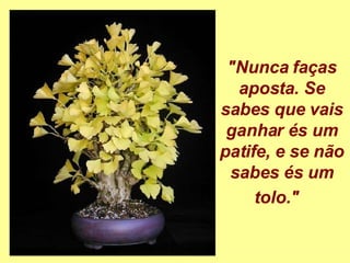 "Nunca faças aposta. Se sabes que vais ganhar és um patife, e se não sabes és um tolo."    