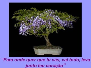 “ Para onde quer que tu vás, vai todo, leva junto teu coração ” 