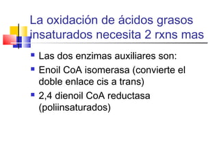 La oxidación de ácidos grasos
insaturados necesita 2 rxns mas
 Las dos enzimas auxiliares son:
 Enoil CoA isomerasa (convierte el
doble enlace cis a trans)
 2,4 dienoil CoA reductasa
(poliinsaturados)
 