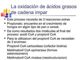 La oxidación de ácidos grasos
de cadena impar
 Este proceso necesita de 3 reacciones extras
 Propionato: encuentra en el crecimiento de
hongos en algún tipo de pan o cereal.
 Da como resultados dos moléculas al final del
proceso: acetil CoA y propionil CoA
 Para la utilizaicon del propionil CoA se necesitan
de 3 enzimas:
Propionil CoA carboxilasa (cofactor biotina)
Metilmalonil CoA epimerasa (formax
esteroisomero)
Metilmalonil CoA mutasa (reestructuracion)
 