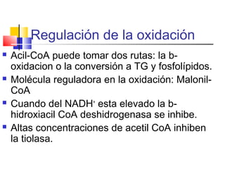 Regulación de la oxidación
 Acil-CoA puede tomar dos rutas: la b-
oxidacion o la conversión a TG y fosfolípidos.
 Molécula reguladora en la oxidación: Malonil-
CoA
 Cuando del NADH+
esta elevado la b-
hidroxiacil CoA deshidrogenasa se inhibe.
 Altas concentraciones de acetil CoA inhiben
la tiolasa.
 