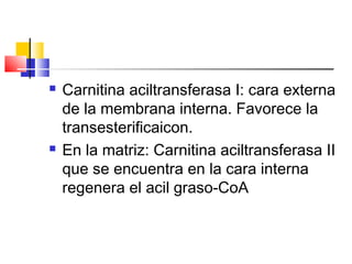  Carnitina aciltransferasa I: cara externa
de la membrana interna. Favorece la
transesterificaicon.
 En la matriz: Carnitina aciltransferasa II
que se encuentra en la cara interna
regenera el acil graso-CoA
 
