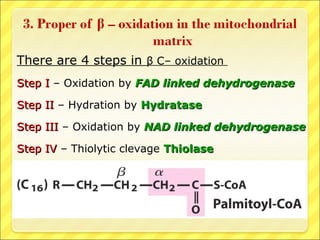 There are 4 steps in β C– oxidation
Step IStep I – Oxidation by FAD linked dehydrogenaseFAD linked dehydrogenase
Step IIStep II – Hydration by HydrataseHydratase
Step IIIStep III – Oxidation by NAD linked dehydrogenaseNAD linked dehydrogenase
Step IVStep IV – Thiolytic clevage ThiolaseThiolase
 