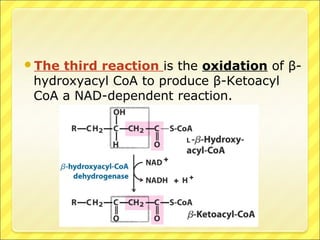 The third reaction is the oxidation of β-
hydroxyacyl CoA to produce β-Ketoacyl
CoA a NAD-dependent reaction.
 