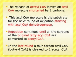 The release of acetyl CoA leaves an acyl
CoA molecule shortened by 2 carbons.
 This acyl CoA molecule is the substrate
for the next round of oxidation starting
with acyl CoA dehydrogenase.
Repetition continues until all the carbons
of the original fatty acyl CoA are
converted to acetyl CoA.
In the last round a four carbon acyl CoA
(butyryl CoA) is cleaved to 2 acetyl CoA.
 
