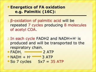 Energetics of FA oxidation
e.g. Palmitic (16C):
1.β-oxidation of palmitic acid will be
repeated 7 cycles producing 8 molecules
of acetyl COA.
2.In each cycle FADH2 and NADH+H+
is
produced and will be transported to the
respiratory chain.
FADH2 2 ATP
NADH + H+
3 ATP
So 7 cycles 5x7 = 35 ATP
 
