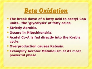 Beta Oxidation
The break down of a fatty acid to acetyl-CoA
units…the ‘glycolysis’ of fatty acids.
Strictly Aerobic.
Occurs in Mitochhondria.
Acetyl Co-A is fed directly into the Kreb's
cycle.
Overproduction causes Ketosis.
Examplify Aerobic Metabolism at its most
powerful phase
 