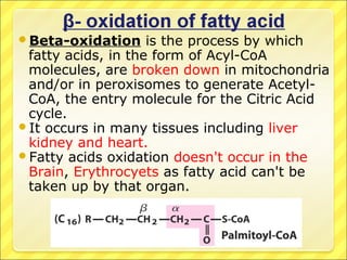 Beta-oxidation is the process by which
fatty acids, in the form of Acyl-CoA
molecules, are broken down in mitochondria
and/or in peroxisomes to generate Acetyl-
CoA, the entry molecule for the Citric Acid
cycle.
It occurs in many tissues including liver
kidney and heart.
Fatty acids oxidation doesn't occur in the
Brain, Erythrocyets as fatty acid can't be
taken up by that organ.
 