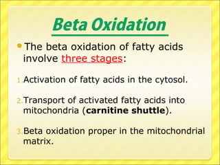 Beta Oxidation
The beta oxidation of fatty acids
involve three stages:
1.Activation of fatty acids in the cytosol.
2.Transport of activated fatty acids into
mitochondria (carnitine shuttle).
3.Beta oxidation proper in the mitochondrial
matrix.
 