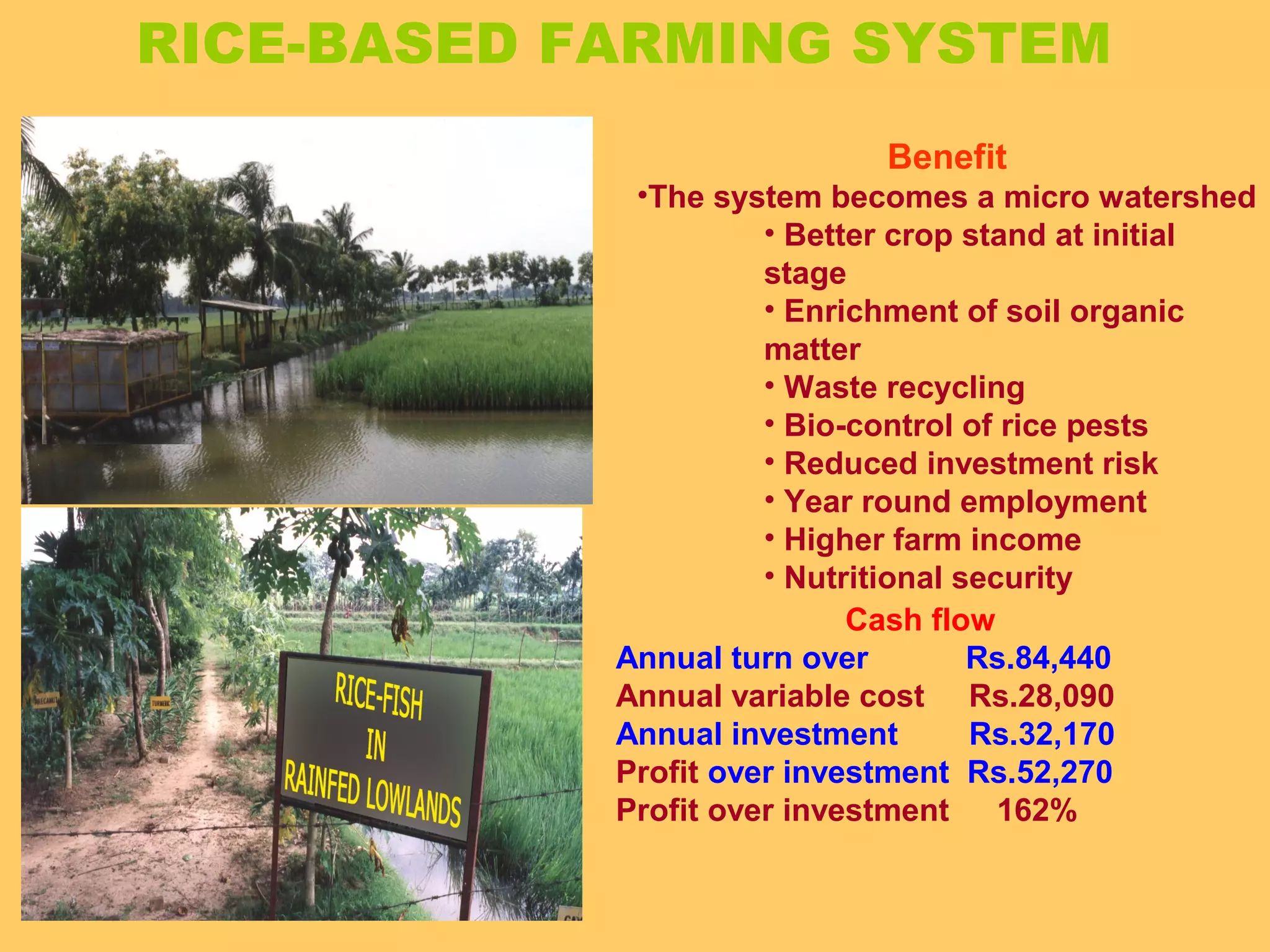 RICE-BASED FARMING SYSTEM
Benefit
•The system becomes a micro watershed
• Better crop stand at initial
stage
• Enrichment of soil organic
matter
• Waste recycling
• Bio-control of rice pests
• Reduced investment risk
• Year round employment
• Higher farm income
• Nutritional security
Cash flow
Annual turn over Rs.84,440
Annual variable cost Rs.28,090
Annual investment Rs.32,170
Profit over investment Rs.52,270
Profit over investment 162%
 