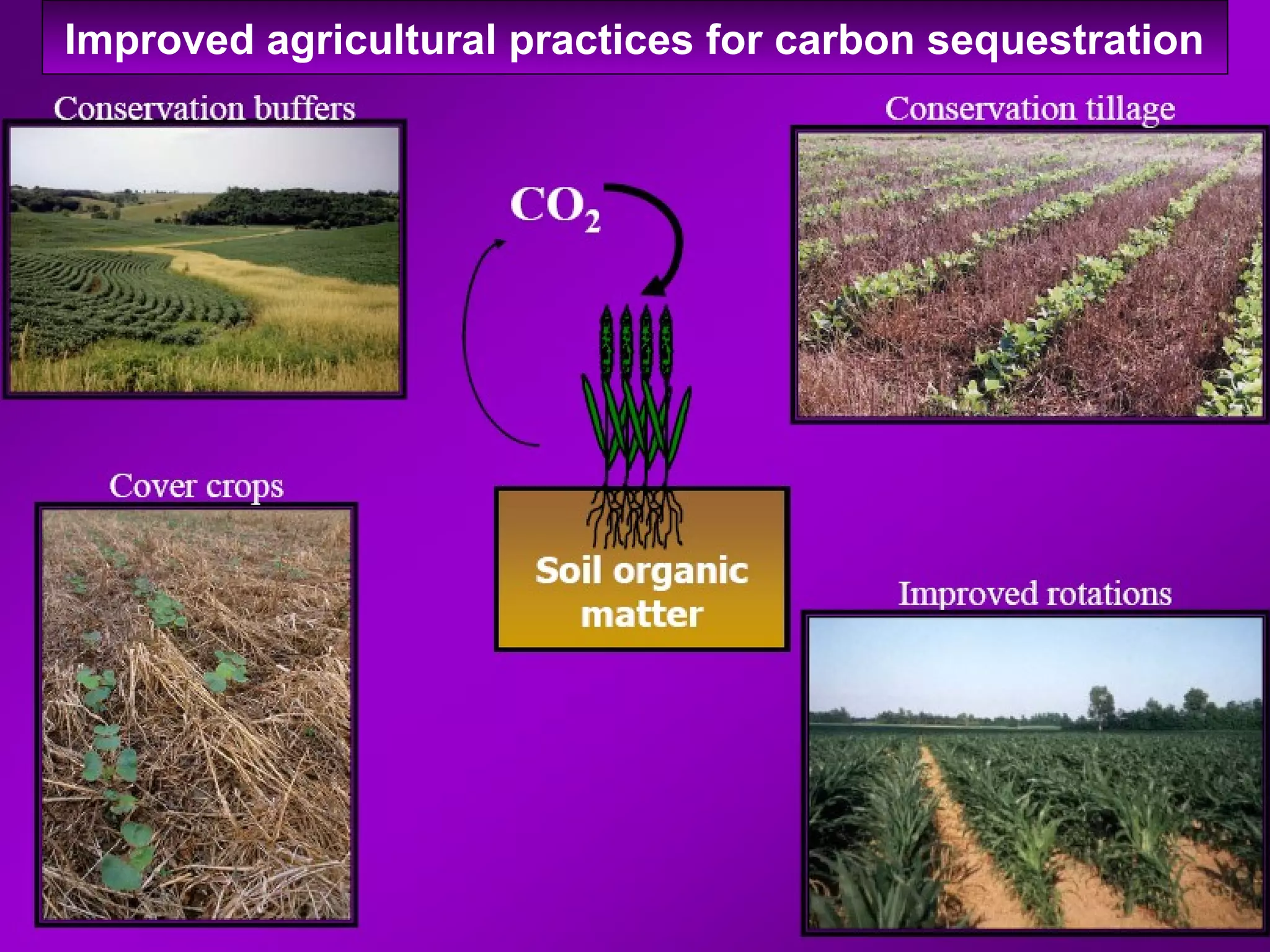 Improved agricultural practices for carbon sequestration
 