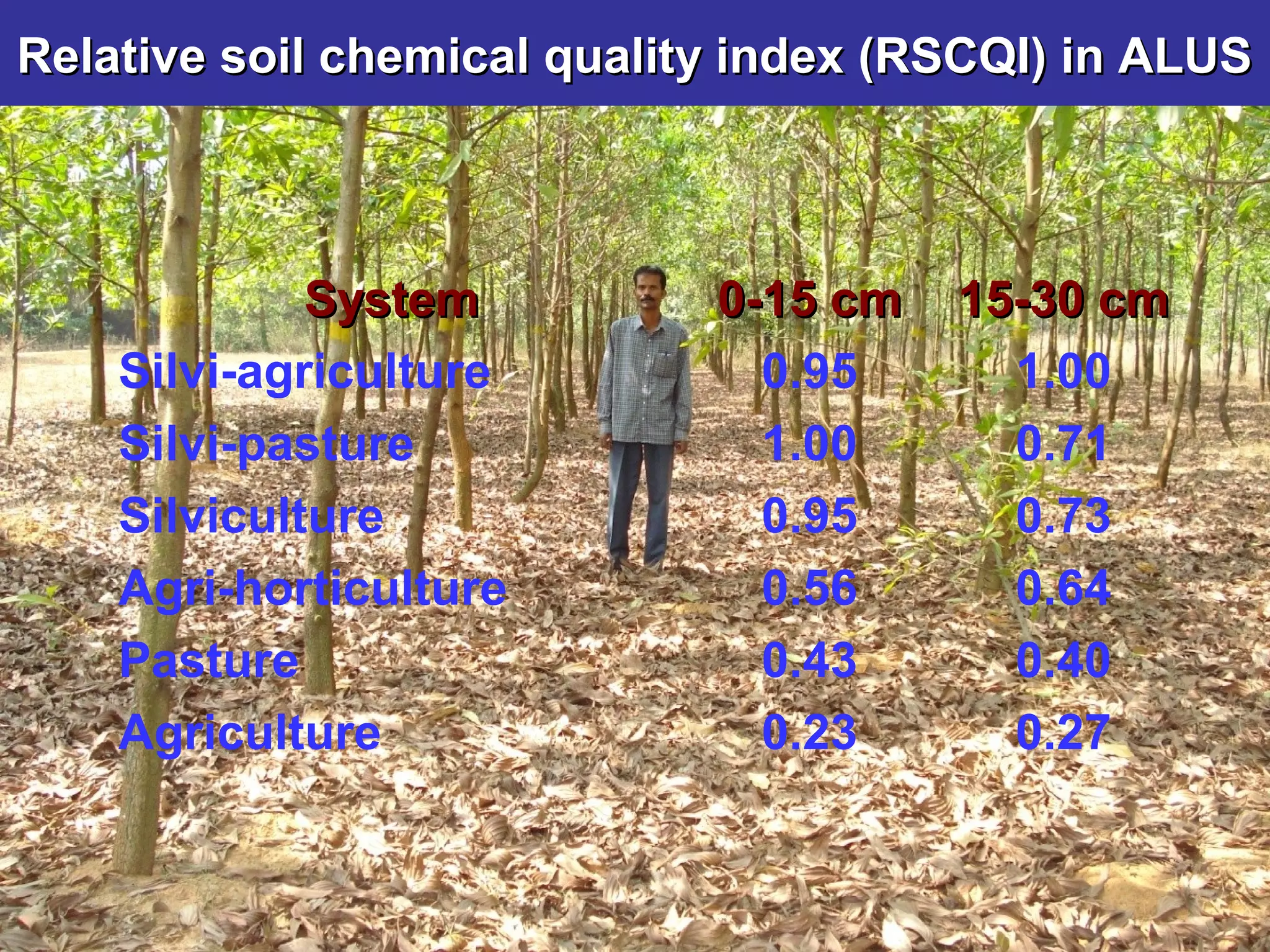 Relative soil chemical quality index (RSCQI) in ALUSRelative soil chemical quality index (RSCQI) in ALUS
SystemSystem 0-15 cm0-15 cm 15-30 cm15-30 cm
Silvi-agriculture 0.95 1.00
Silvi-pasture 1.00 0.71
Silviculture 0.95 0.73
Agri-horticulture 0.56 0.64
Pasture 0.43 0.40
Agriculture 0.23 0.27
 