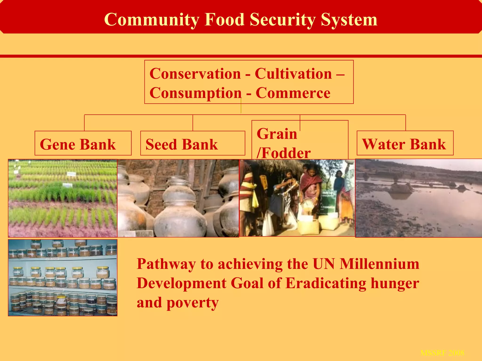 Gene Bank Seed Bank Water Bank
Grain
/Fodder
Bank
Conservation - Cultivation –
Consumption - Commerce
Community Food Security System
Pathway to achieving the UN Millennium
Development Goal of Eradicating hunger
and poverty
MSSRF 2008
 