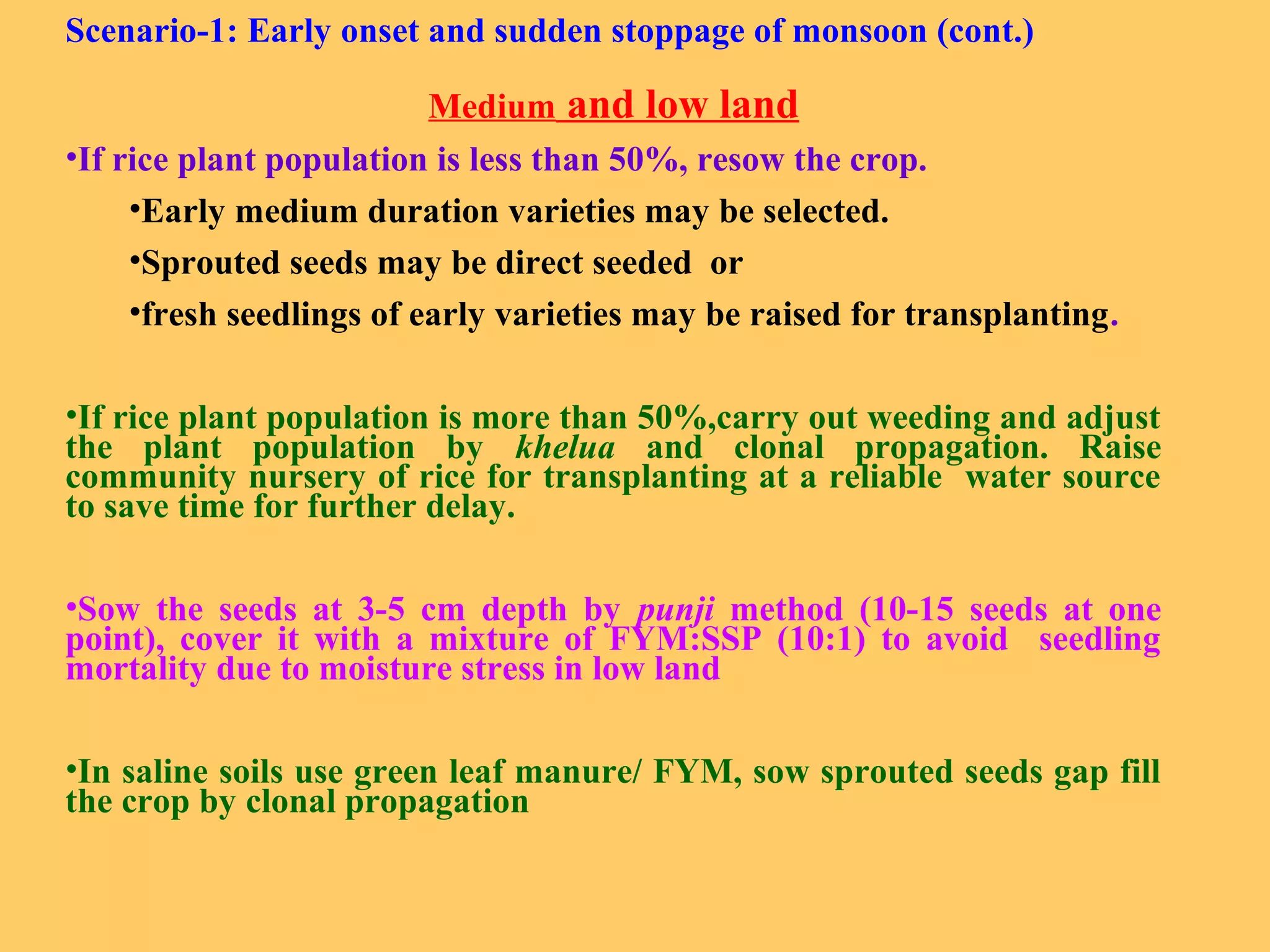 Scenario-1: Early onset and sudden stoppage of monsoon (cont.)
Medium and low land
•If rice plant population is less than 50%, resow the crop.
•Early medium duration varieties may be selected.
•Sprouted seeds may be direct seeded or
•fresh seedlings of early varieties may be raised for transplanting.
•If rice plant population is more than 50%,carry out weeding and adjust
the plant population by khelua and clonal propagation. Raise
community nursery of rice for transplanting at a reliable water source
to save time for further delay.
•Sow the seeds at 3-5 cm depth by punji method (10-15 seeds at one
point), cover it with a mixture of FYM:SSP (10:1) to avoid seedling
mortality due to moisture stress in low land
•In saline soils use green leaf manure/ FYM, sow sprouted seeds gap fill
the crop by clonal propagation
 