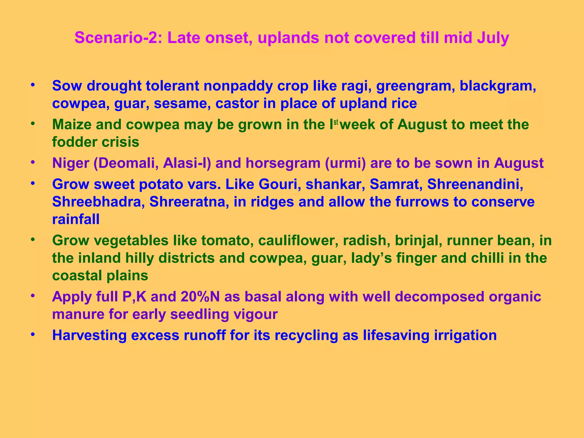 Scenario-2: Late onset, uplands not covered till mid July
• Sow drought tolerant nonpaddy crop like ragi, greengram, blackgram,
cowpea, guar, sesame, castor in place of upland rice
• Maize and cowpea may be grown in the Ist
week of August to meet the
fodder crisis
• Niger (Deomali, Alasi-I) and horsegram (urmi) are to be sown in August
• Grow sweet potato vars. Like Gouri, shankar, Samrat, Shreenandini,
Shreebhadra, Shreeratna, in ridges and allow the furrows to conserve
rainfall
• Grow vegetables like tomato, cauliflower, radish, brinjal, runner bean, in
the inland hilly districts and cowpea, guar, lady’s finger and chilli in the
coastal plains
• Apply full P,K and 20%N as basal along with well decomposed organic
manure for early seedling vigour
• Harvesting excess runoff for its recycling as lifesaving irrigation
 