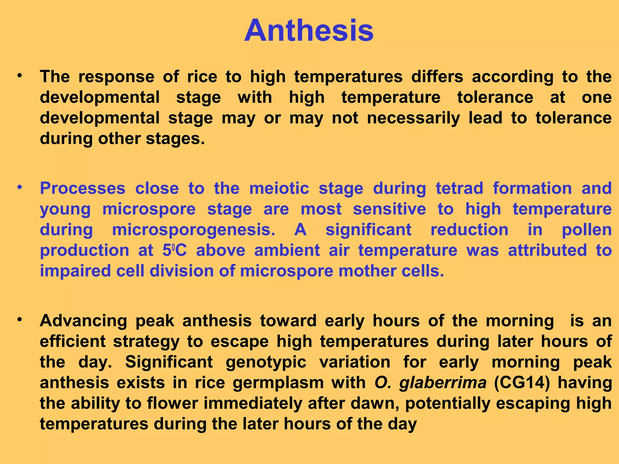 Anthesis
• The response of rice to high temperatures differs according to the
developmental stage with high temperature tolerance at one
developmental stage may or may not necessarily lead to tolerance
during other stages.
• Processes close to the meiotic stage during tetrad formation and
young microspore stage are most sensitive to high temperature
during microsporogenesis. A significant reduction in pollen
production at 50
C above ambient air temperature was attributed to
impaired cell division of microspore mother cells.
• Advancing peak anthesis toward early hours of the morning is an
efficient strategy to escape high temperatures during later hours of
the day. Significant genotypic variation for early morning peak
anthesis exists in rice germplasm with O. glaberrima (CG14) having
the ability to flower immediately after dawn, potentially escaping high
temperatures during the later hours of the day
 