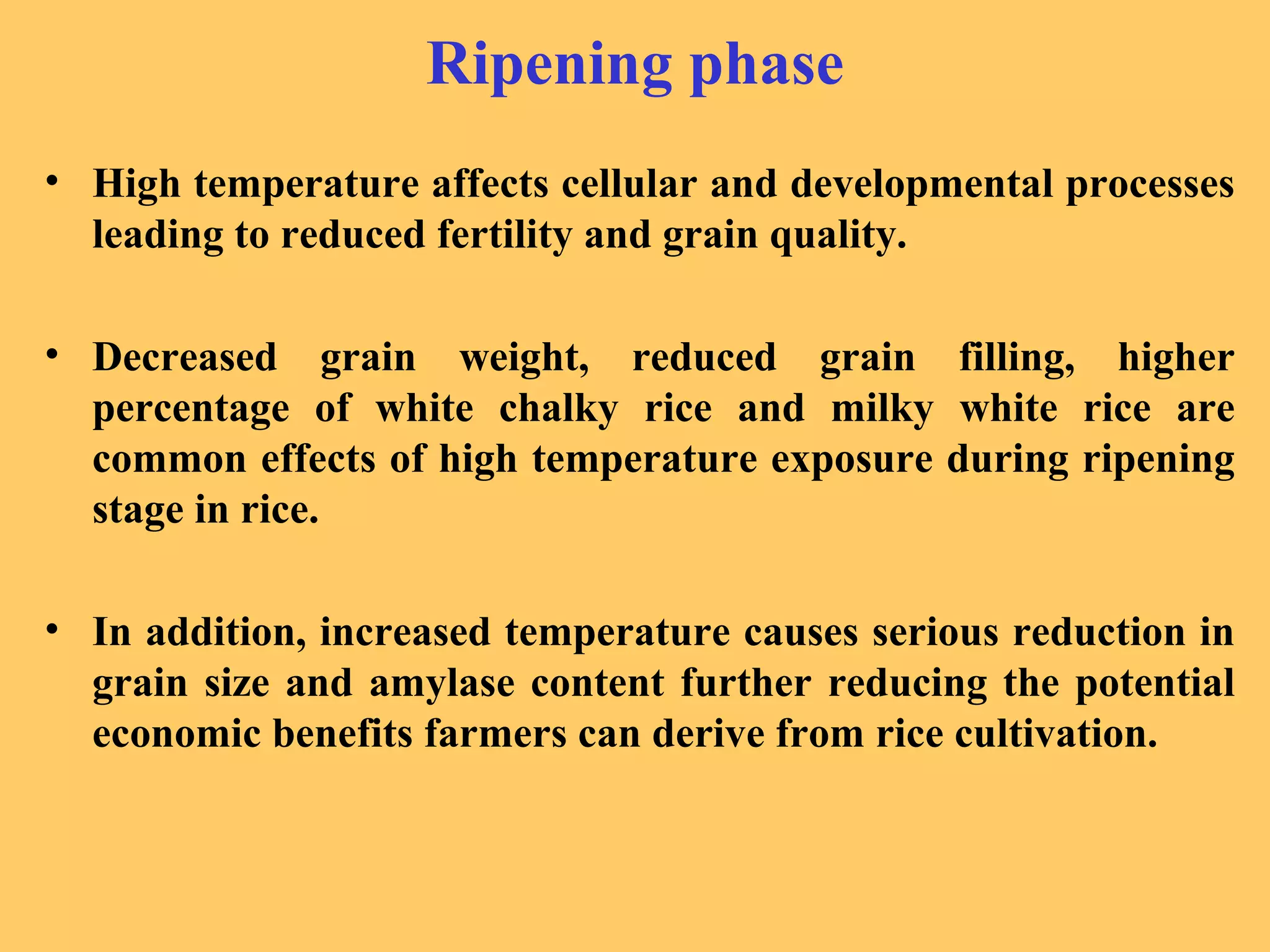 Ripening phase
• High temperature affects cellular and developmental processes
leading to reduced fertility and grain quality.
• Decreased grain weight, reduced grain filling, higher
percentage of white chalky rice and milky white rice are
common effects of high temperature exposure during ripening
stage in rice.
• In addition, increased temperature causes serious reduction in
grain size and amylase content further reducing the potential
economic benefits farmers can derive from rice cultivation.
 