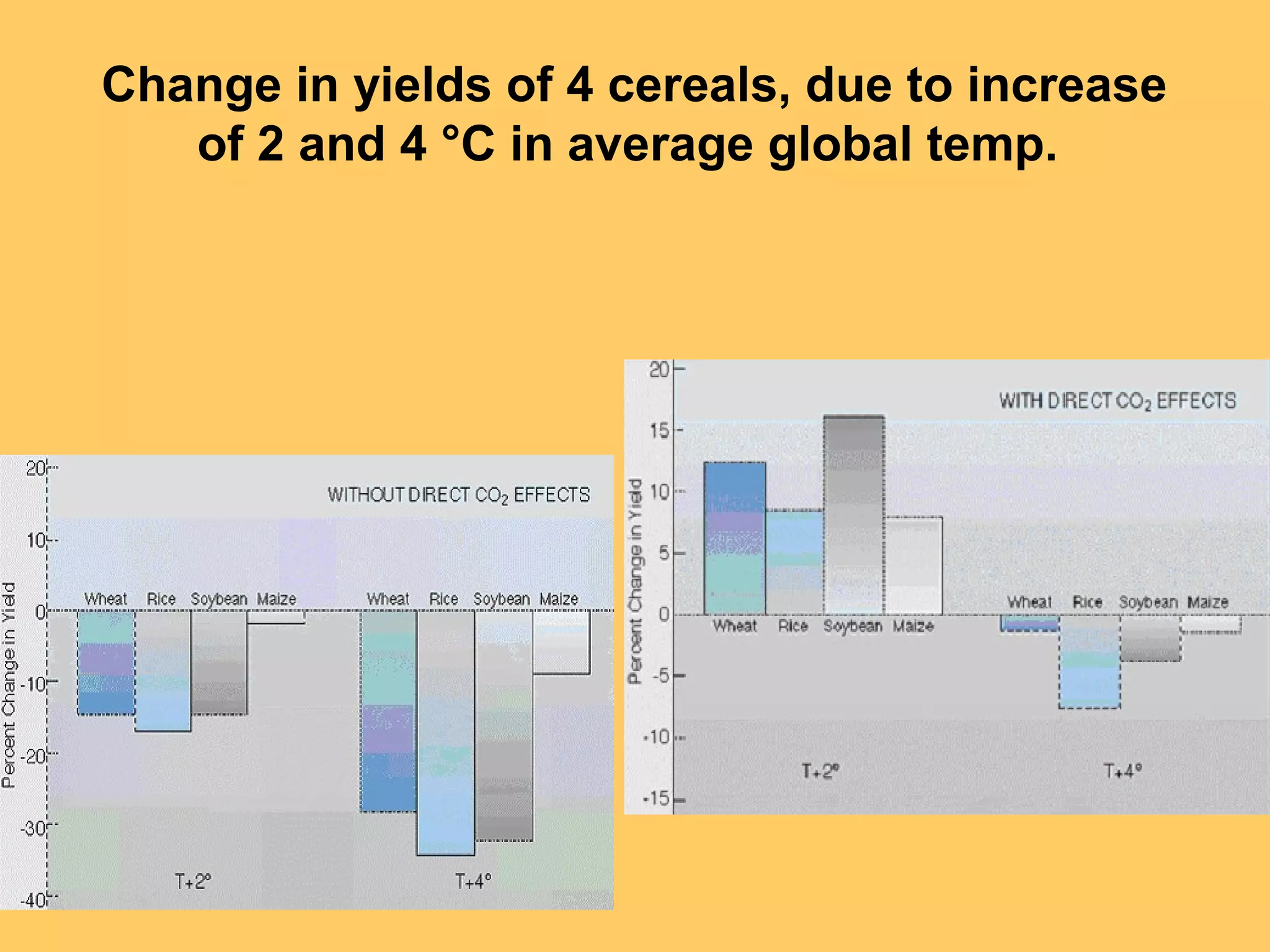 Change in yields of 4 cereals, due to increase
of 2 and 4 °C in average global temp.
 