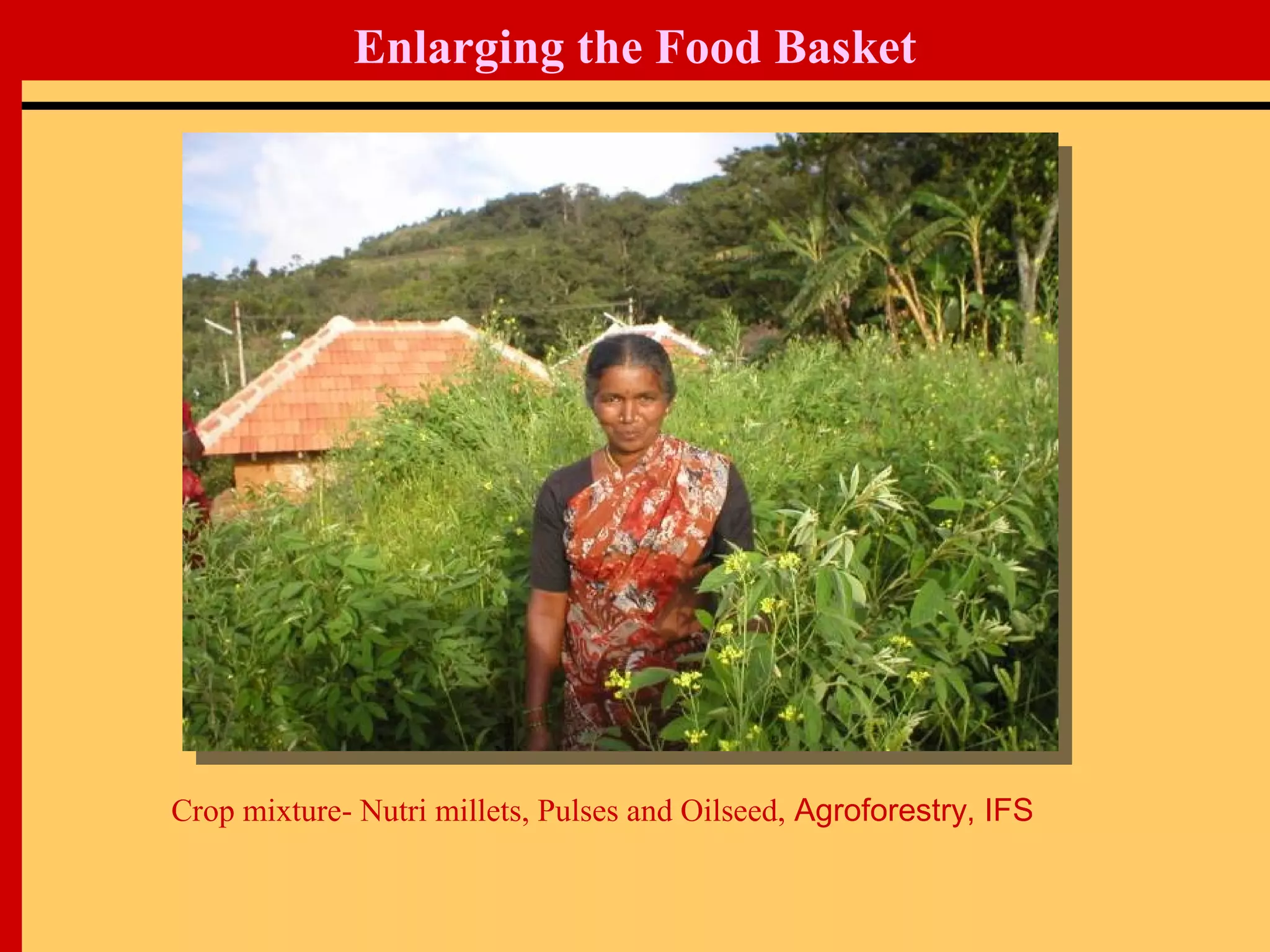 Crop mixture- Nutri millets, Pulses and Oilseed, Agroforestry, IFS
Enlarging the Food Basket
 
