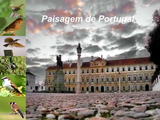 Paisagem de Portugal 