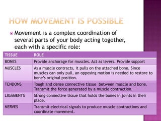  Movement   is a complex coordination of
    several parts of your body acting together,
    each with a specific role:
TISSUE      ROLE
BONES       Provide anchorage for muscles. Act as levers. Provide support
MUSCLES     As a muscle contracts, it pulls on the attached bone. Since
            muscles can only pull, an opposing motion is needed to restore to
            bone’s original position.
TENDONS     Tough and dense connective tissue between muscle and bone.
            Transmit the force generated by a muscle contraction.
LIGAMENTS   Strong connective tissue that holds the bones in joints in their
            place.
NERVES      Transmit electrical signals to produce muscle contractions and
            coordinate movement.
 