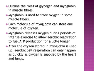  Outline  the roles of glycogen and myoglobin
  in muscle fibres.
 Myoglobin is used to store oxygen in some
  muscle fibers.
 Each molecule of myoglobin can store one
  molecule of oxygen.
 Myoglobin releases oxygen during periods of
  intense exercise to allow aerobic respiration
  to fuel ATP production for a little longer.
 After the oxygen stored in myoglobin is used
  up, aerobic cell respiration can only happen
  as quickly as oxygen is supplied by the heart
  and lungs.
 