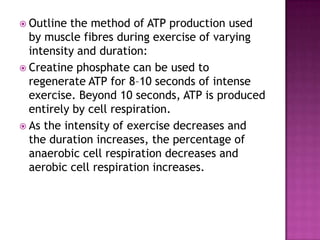  Outline the method of ATP production used
  by muscle fibres during exercise of varying
  intensity and duration:
 Creatine phosphate can be used to
  regenerate ATP for 8–10 seconds of intense
  exercise. Beyond 10 seconds, ATP is produced
  entirely by cell respiration.
 As the intensity of exercise decreases and
  the duration increases, the percentage of
  anaerobic cell respiration decreases and
  aerobic cell respiration increases.
 