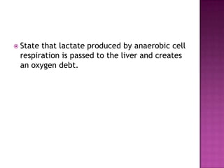  Statethat lactate produced by anaerobic cell
 respiration is passed to the liver and creates
 an oxygen debt.
 