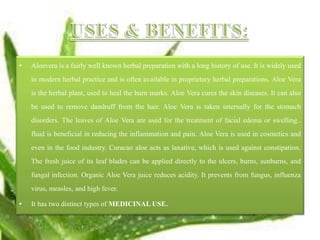 • Aloevera is a fairly well known herbal preparation with a long history of use. It is widely used
in modern herbal practice and is often available in proprietary herbal preparations. Aloe Vera
is the herbal plant, used to heal the burn marks. Aloe Vera cures the skin diseases. It can also
be used to remove dandruff from the hair. Aloe Vera is taken internally for the stomach
disorders. The leaves of Aloe Vera are used for the treatment of facial edema or swelling..
fluid is beneficial in reducing the inflammation and pain. Aloe Vera is used in cosmetics and
even in the food industry. Curacao aloe acts as laxative, which is used against constipation.
The fresh juice of its leaf blades can be applied directly to the ulcers, burns, sunburns, and
fungal infection. Organic Aloe Vera juice reduces acidity. It prevents from fungus, influenza
virus, measles, and high fever.
• It has two distinct types of MEDICINAL USE.
 