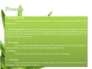 1. Plantation of seeds:
After the suitable arid climate is prepared now seeds are planted very carefully in well
drained soil.
2. After the plantation of seeds in well drained soil it's time to keep care of planted seeds and
watered in right time. After the 15 days the seeds are growing and become a plant Plant is growing
with slow rate so the maintenance is very careffilly. Plant is average growing after the 8 to 10
months and ready for harvesting.
3. Harvesting:
Now, it's time to harvesting the plant after frilly developed. At this time of cutting the
plant should take very care. And with the help of cutting machine it cut.
4. Storage.
After the cutting of plant in proper manner it can store in (6months)
5. warehouse.
Now it's time to pack Aloevera in proper packing. Packing can be made with great care
according to the requirement of customer.
 