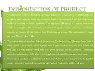  Aloevera doesn't need any introduction as it highly popular and widely used in the market. When we
are talking about Aloevera plants they are mostly found in the regions of Africa but can be traced
worldwide according to climatic conditions. There are around 250 species of Aloevera plants in the
world. Aloevera plant size varies from one inch to it highly complex and spread out colonies
consisting of thousand of plan. ranging from 2 foot diameter to more. The most commonly known
species of Aloevera plant is Aloe.
 Aloevera is cultivated throughout India. It is commonly found in Mumbai, Gujarat and South India. It
mainly grows in the tropical and sub tropical areas. It grows well on sandy and well drained soil.
Aloe Vera is it very popular potted plant It is grown in houses for the decoration. Commercial
cultivation and utilization of this plant with the application of technology can be of great value.
 Aloevera have long been in use for it host of diseases, particularly those connected with the digestive
system, treatment of wounds, burns and other skin troubles, eye troubles and liver ailments
 