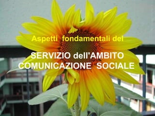 Aspetti  fondamentali del SERVIZIO dell'AMBITO  COMUNICAZIONE  SOCIALE  
