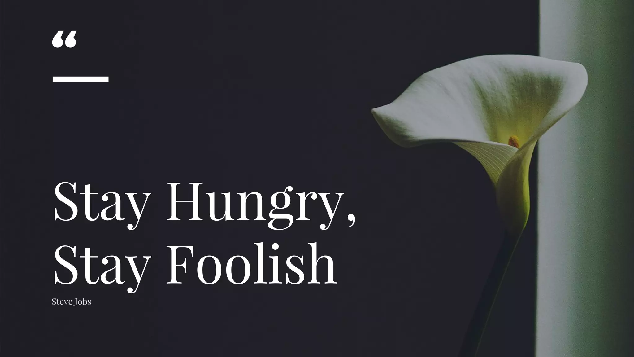 “
Stay Hungry,
Stay FoolishSteve Jobs