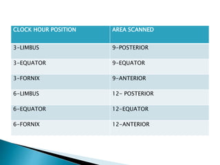 CLOCK HOUR POSITION AREA SCANNED
3-LIMBUS 9-POSTERIOR
3-EQUATOR 9-EQUATOR
3-FORNIX 9-ANTERIOR
6-LIMBUS 12- POSTERIOR
6-EQUATOR 12-EQUATOR
6-FORNIX 12-ANTERIOR
 