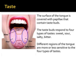 The surface of the tongue is covered with papillae that contain taste buds. The taste buds respond to four types of tastes...