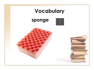 Vocabulary sponge 