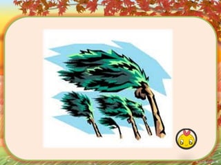 งานนำเสนอ B slim