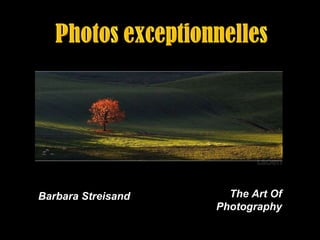 Barbara Streisand  The Art Of Photography 