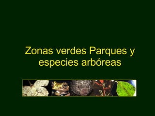 Zonas verdes Parques y especies arbóreas 