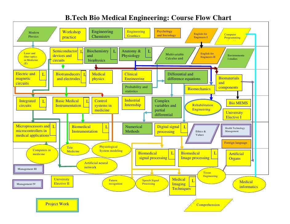 VIT B.Tech BioMed Flow Chart