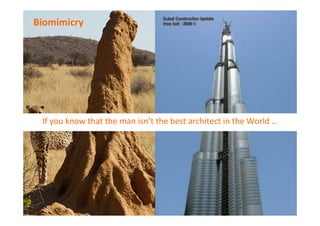 Biomimicry	
  

If	
  you	
  know	
  that	
  the	
  man	
  isn’t	
  the	
  best	
  architect	
  in	
  the	
  World	
  …	
  

 